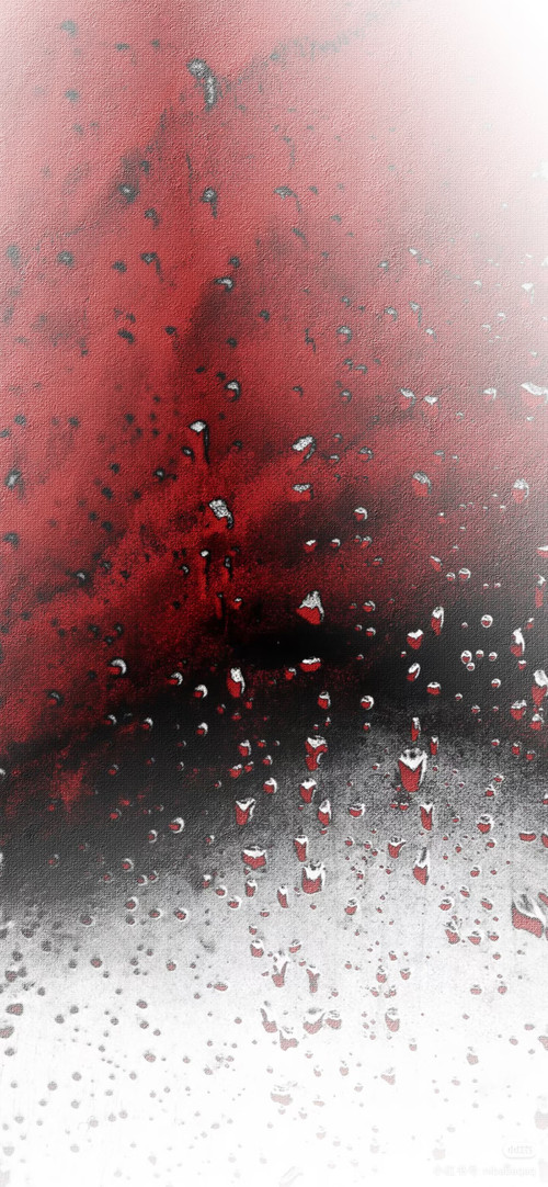 1000019204.jpg