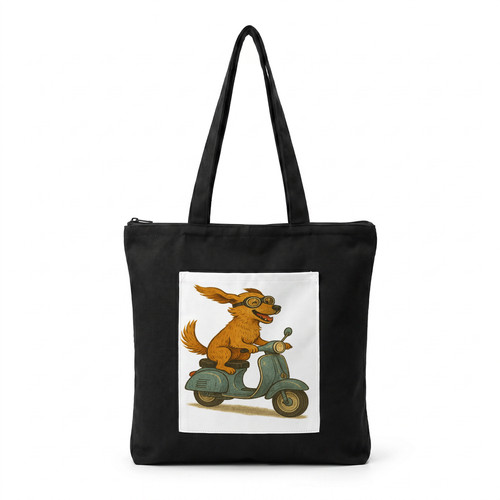 MAIN IMAGE Dog on Scooter.jpg