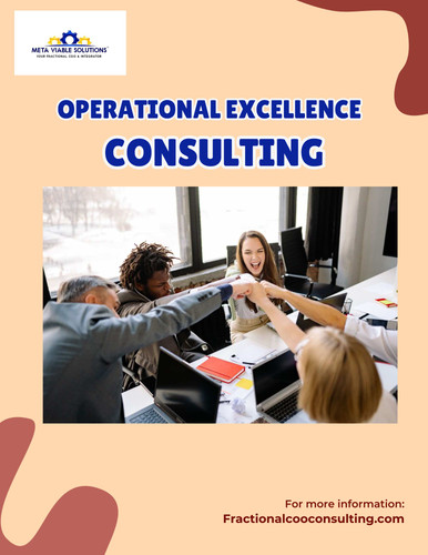 Operational Excellence Consulting to Improve Business Performance.jpg