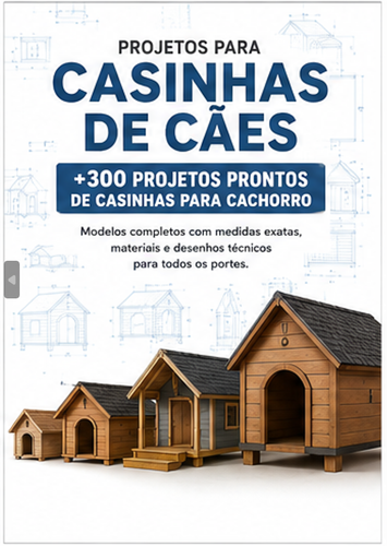 capa.2