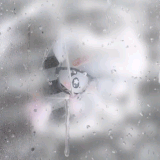 73328.gif