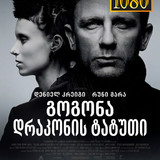The Girl with the Dragon Tattoo cover