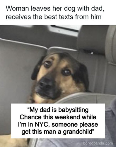 dad babysitting dog meghan specksgoor.jpg