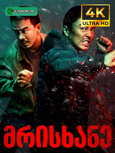 The Furious cover.jpg