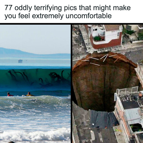 world curiosities.jpg