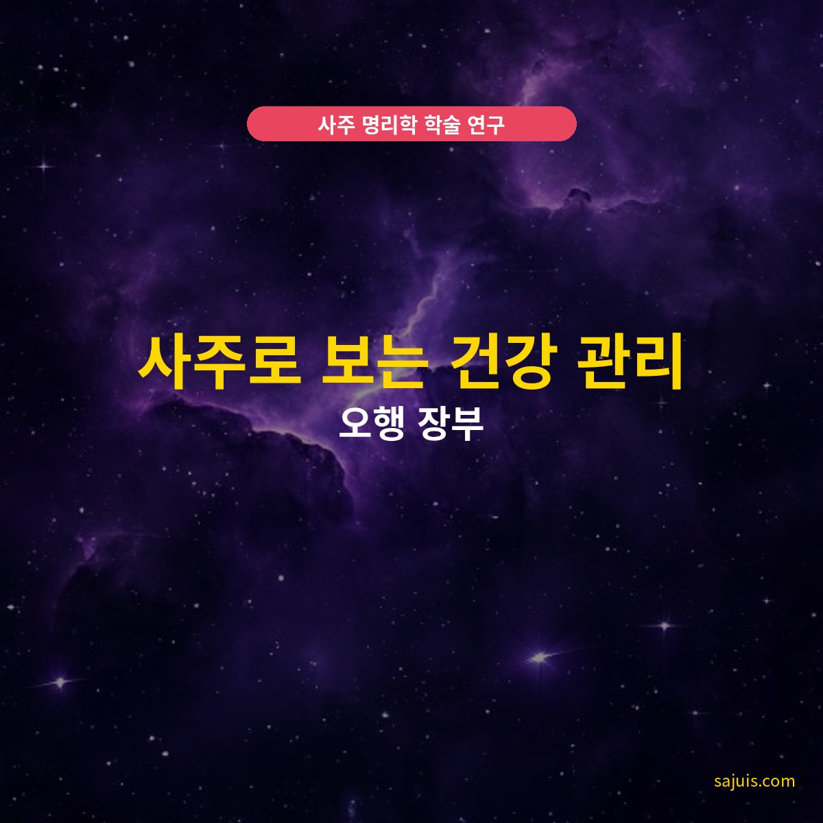 사주로 보는 건강 관리 — 오행 장부