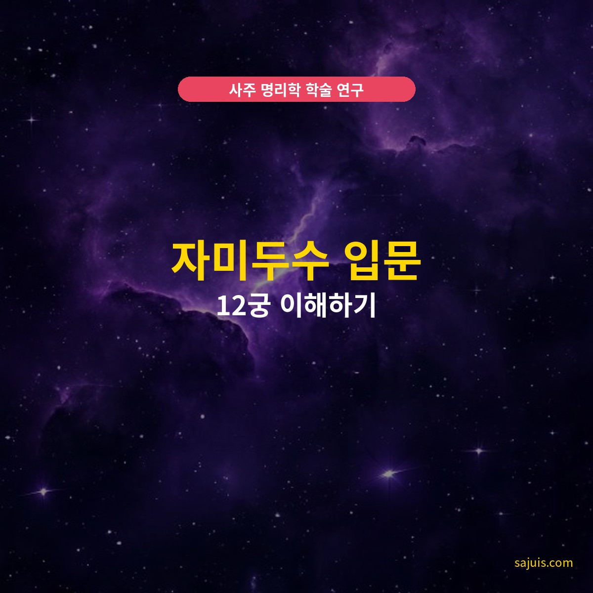 자미두수 입문 — 12궁 이해하기