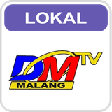 DM TV