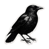 fccbe416c75919b60c3561c0cef95696 removebg preview.png