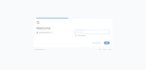 2026 07 15T19 47 24 977Z GOOGLE password entered.png