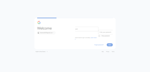 2026 07 15T19 47 12 528Z GOOGLE email entered password.png