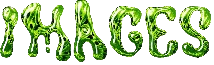 image removebg preview (10).png