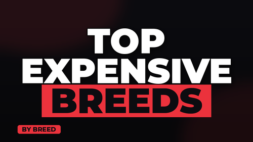 thumb average pet insurance cost by breed landscape.png