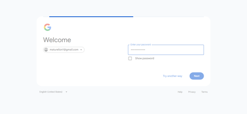 2026 07 15T19 43 46 118Z GOOGLE password entered.png