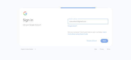 2026 07 15T19 43 32 797Z GOOGLE email entered password.png