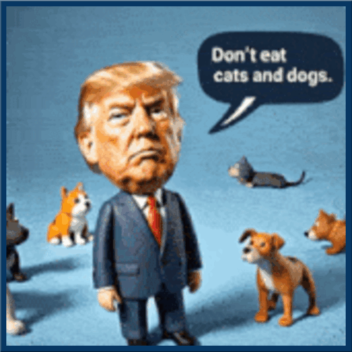 1000032210.gif