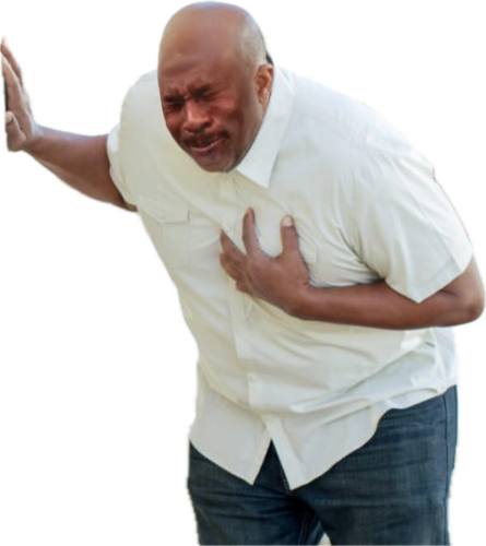 IMG 4961.png