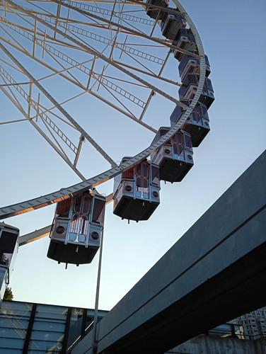 1000031962.jpg