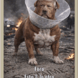 1000032214.gif