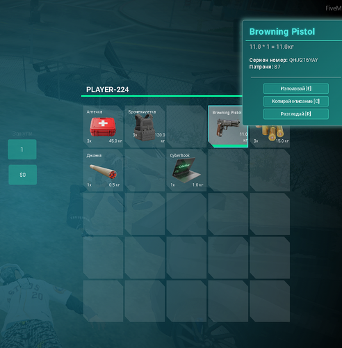 FiveM b3258 GTAProcess 9tKKkhjwGw.png