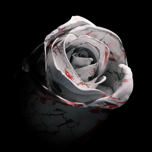 600x600bb.jpg