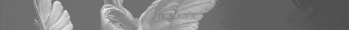 Area Bilder entia.png