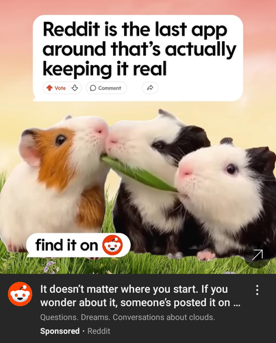 434910332bd6.png