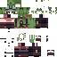 skin 896713d7dcb6b8b9565b98694a65f51b (1).png