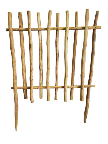 TPF 48 Prime.jpg
