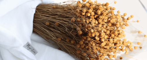 Copy of Flax 3510 1440.png