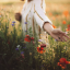 4aef9ed0a9573bb71fe4e9907af95bd8.png