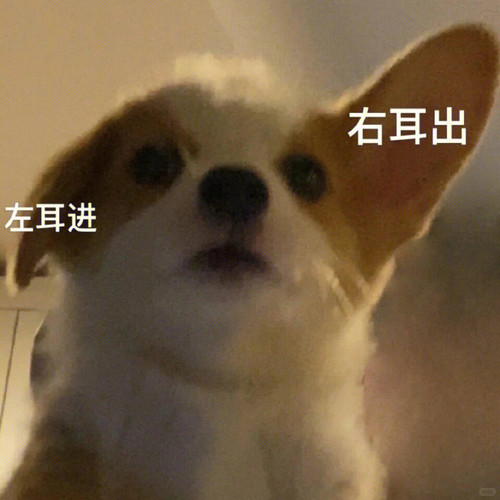 1040g3k031tc0lplbm8005ofd58rk19bnnqkurt0!nd dft wlteh jpg 3.jpg