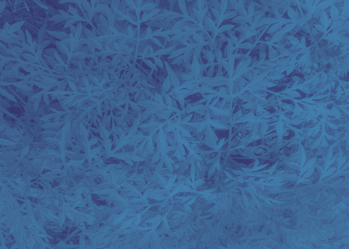 temp.png