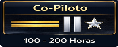 co.piloto.png
