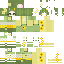 @skinpara.png