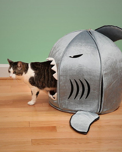 cat furniture 103.jpg