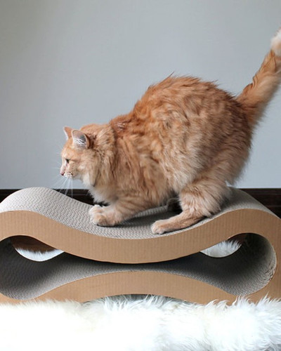 cat furniture creative design 23.jpg
