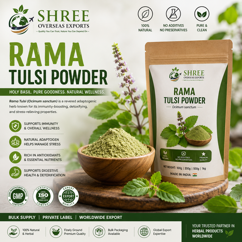 Rama Tulsi Powder Supplier Your Trusted Partner for Premium Holy Basil Powder in Bulk.png