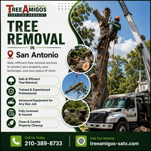 Tree Removal in San Antonio.jpg