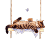 IMG 6054.gif