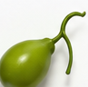 empedu.png