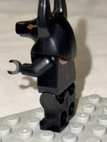 IMG 4911.jpg