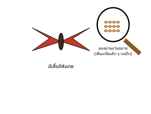 q5.png