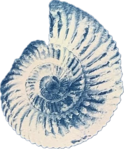 %E4%B8%BB%E9%A2%98%20(8).png