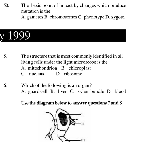 1999 50.png