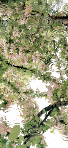 IMG 3001.png