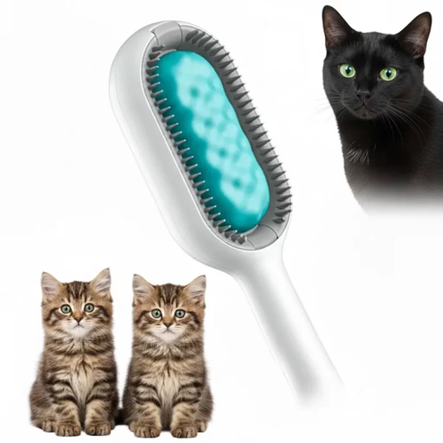 892025458c08.png