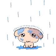 mmexport1784645602840.gif