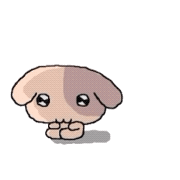 mmexport1784645599061.gif