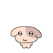 mmexport1784645590808.gif